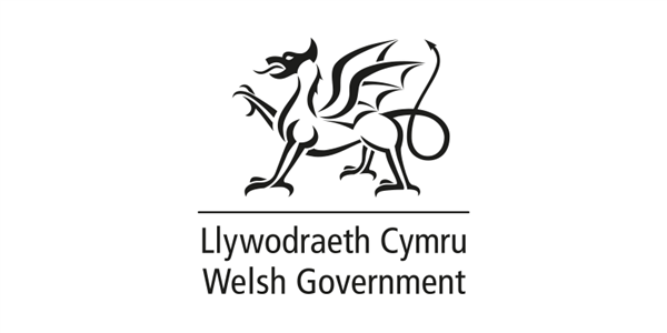 The Renting Homes (Fees etc.) (Holding Deposits) (Specified Information) (Wales) Regulations 2019